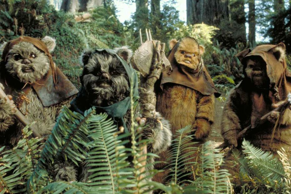 Ewoks, as seen on the forest moon of Endor in Return of the Jedi. While never officially depicted in Star Wars, it is heavily implied that Ewoks eat stormtroopers and humans. (Disney / Lucasfilm)